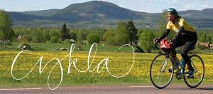 Bicycle in Dalarna